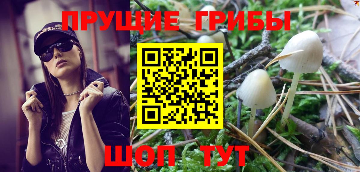закладка  Вход с VPN  Сергиев Посад  Псилоцибиновые грибы GOLDEN TEACHER 