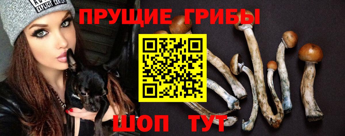 Галлюциногенные грибы прущие грибы Сергиев Посад